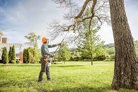 Professional Tree Removal and Landscaping Services in Ocean City, FL